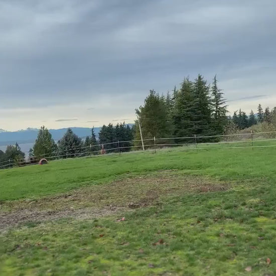 Cowhide Full Length Mirror: Handmade Western Decor