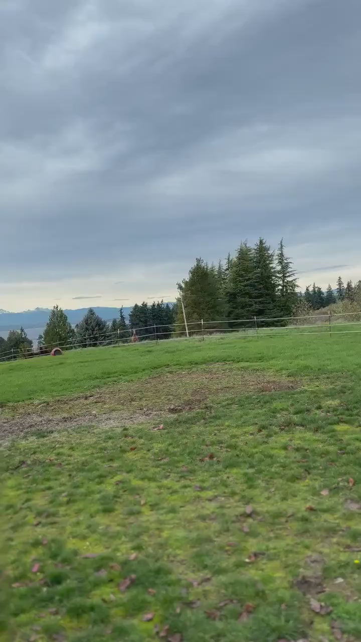 Cowhide Full Length Mirror: Handmade Western Decor